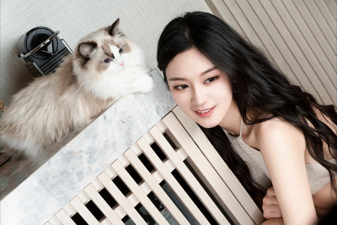 联合国安理会将就以色列袭击叙利亚举行紧急会议